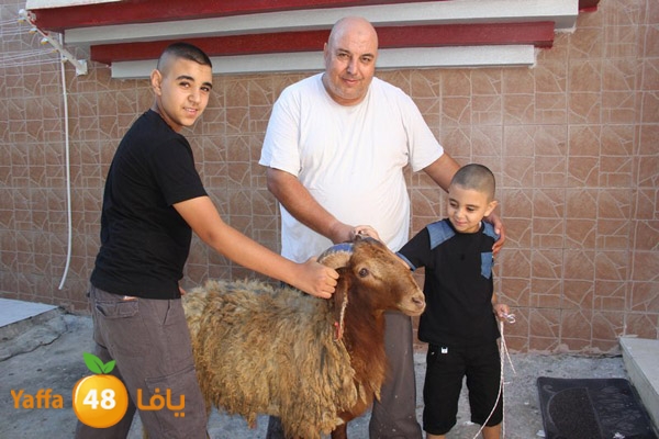 dabe7 ludj31 (11).JPG